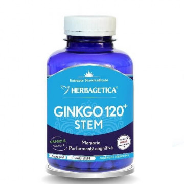 Ginkgo 120 STEM 120 cps