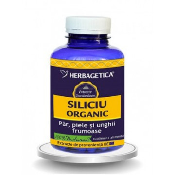 Siliciu Organic 120 cps