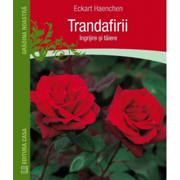 Trandafirii: ingrijire si taiere