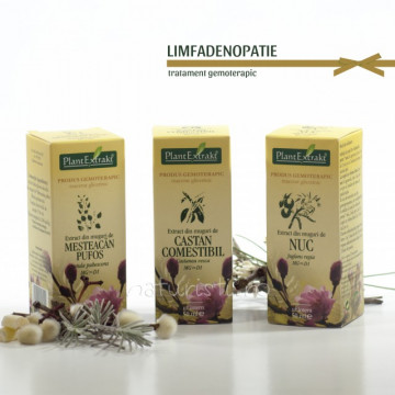 Tratament naturist - Limfadenopatie (pachet)