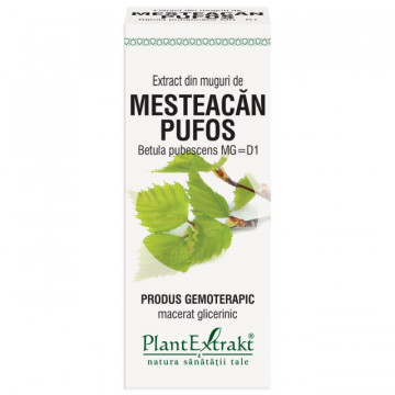 Extract din muguri de mesteacan pufos 50 ml (BETULA PUB)