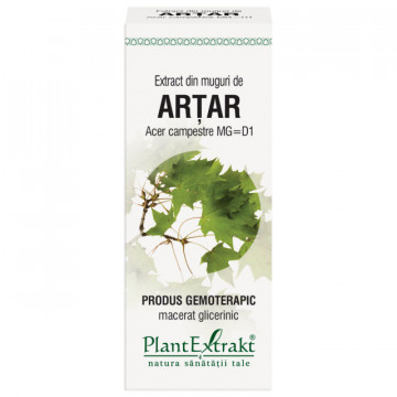 Extract din muguri de artar 50 ml (ACER CAMP)