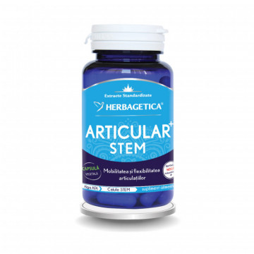 Articular STEM 30 cps