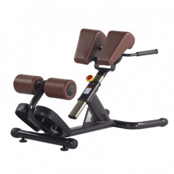 Banca lombari pentru hyperextensia spatelui H-026A, MS Fitness
