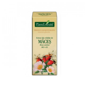 Extract din mladite de maces (ROSA CANINA)