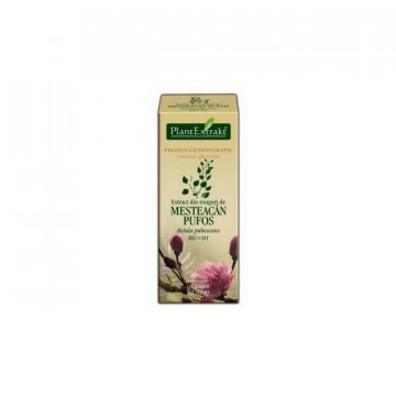 Extract din muguri de mesteacan pufos 50 ml (BETULA PUB)