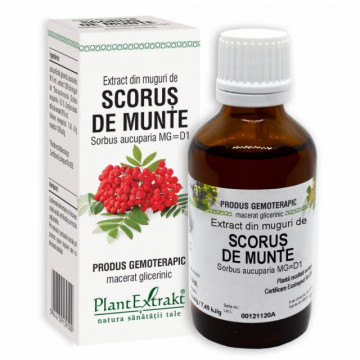 Extract din muguri de Scorus de munte 50 ml (SORBUS AUCUPARIA)