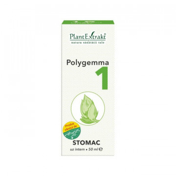 Polygemma nr. 1 - Stomac