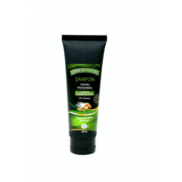 Sampon pentru par normal (cu argan & germeni de grau) - 100 ml