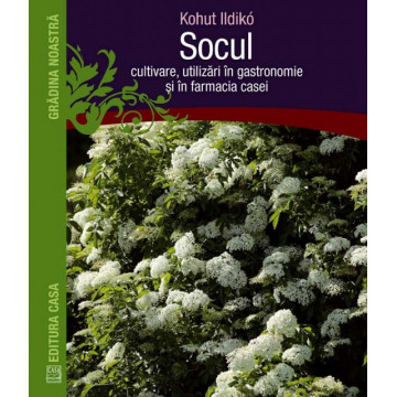 Socul: cultivare, utilizare in gastronomie si in farmacia casei