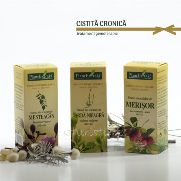 Tratament naturist - Cistita cronica (pachet)