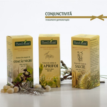 Tratament naturist - Conjunctivita (pachet)