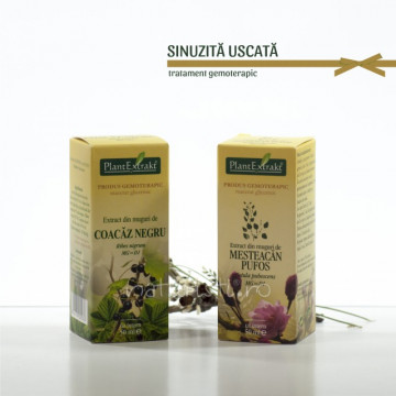 Tratament naturist - Sinuzita uscata (pachet)