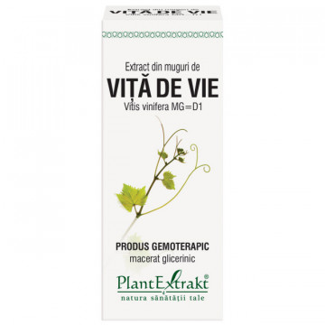 Extract din muguri de vita de vie (VITIS VINIF.)