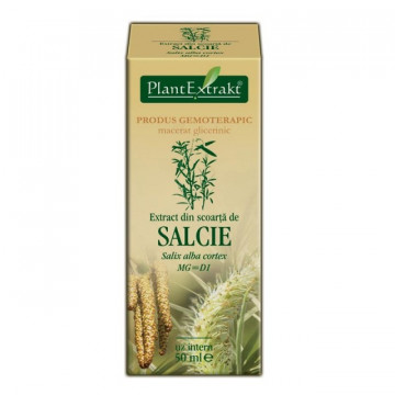 Extract din scoarta de salcie (SALIX ALBA scoarta)