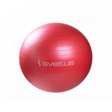 Minge de aerobic 65 cm 330 - rosu