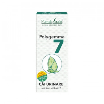 Polygemma nr. 7 - Cai urinare