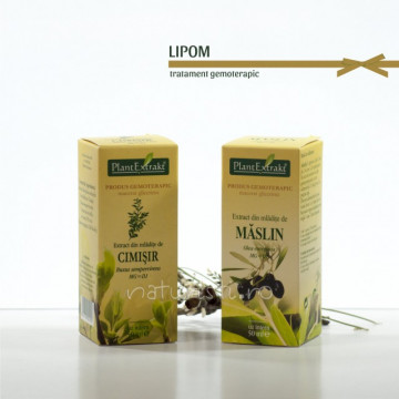 Tratament naturist - Lipom (pachet)