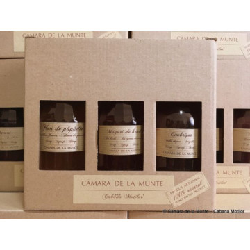 TRIO Sirop plante de la munte 3x300 ml