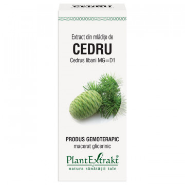 Extract mladite cedru 50 ml (CEDRUS LIBANI)