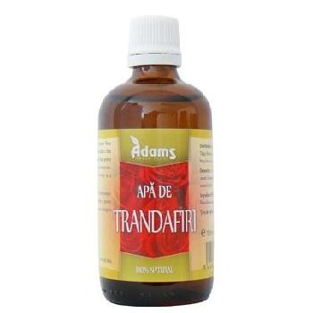 Apa de trandafiri - 100 ml