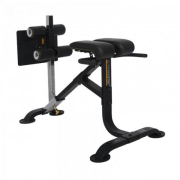 Aparat Hiperextensii Spate/Abdomen P-HC POWERTEC
