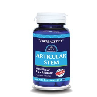 Articular STEM 30 cps