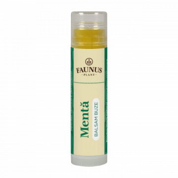 Balsam Buze Menta - 5 ml