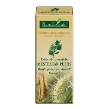 Extract din amenti de mesteacan pufos (BETULA PUBESCENS AMENTI MG=D1) 50ml