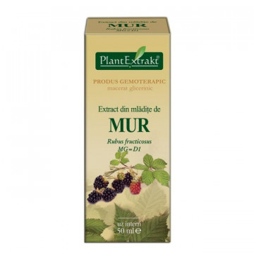 Extract din mladite de mur (RUBUS FRUCT.)