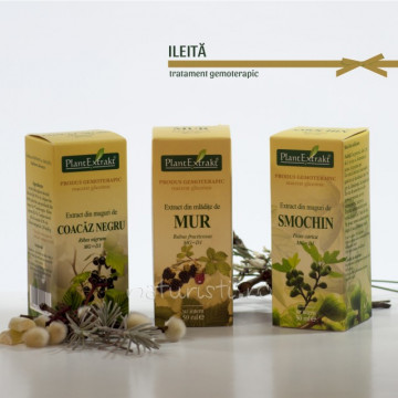 Tratament naturist - Ileita (pachet)