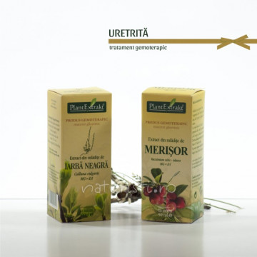 Tratament naturist - Uretrita (pachet)