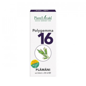 Polygemma nr. 16 - Plamani