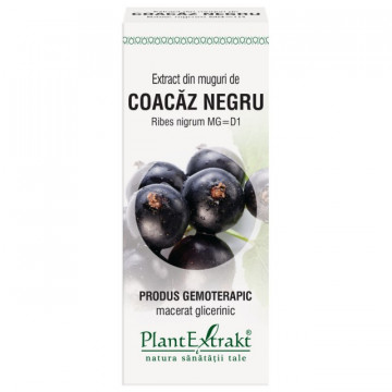 Extract din muguri de coacaz negru (RIBES NIGRUM)