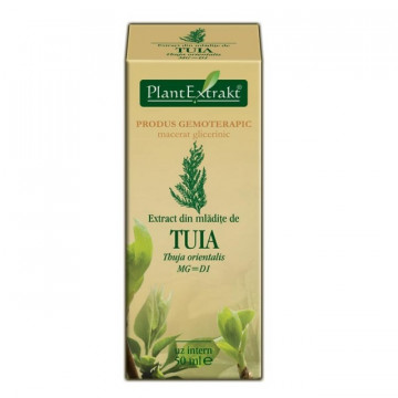 Extract din mladite de tuia (THUJA ORIENT.)