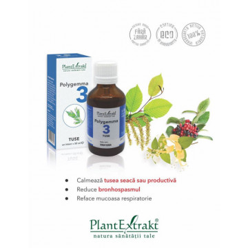 Polygemma nr. 3 - Tuse