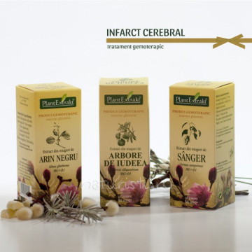 Tratament naturist - Infarct cerebral (pachet)