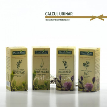 Tratament naturist - Calcul urinar (pachet)