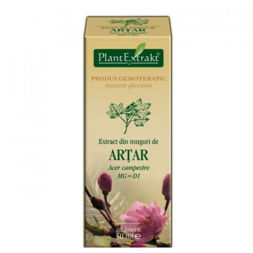 Extract din muguri de artar 50 ml (ACER CAMP)