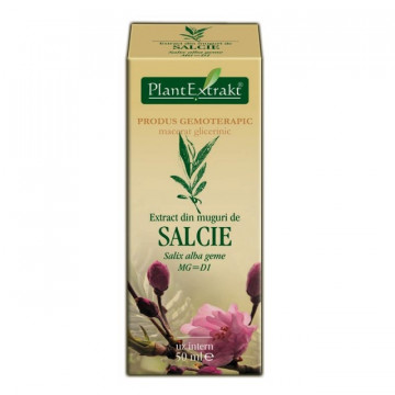 Extract din muguri de salcie (SALIX ALBA muguri)