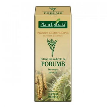 Extract din radicele porumb (ZEA MAYS)