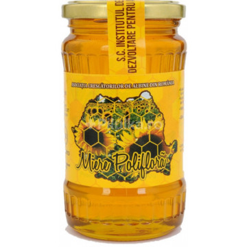 Miere poliflora - 500 g