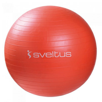 Minge de aerobic 55 cm 0396