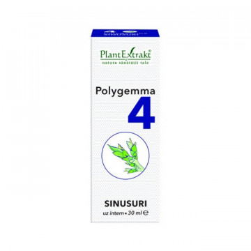 Polygemma nr. 4 - Sinusuri