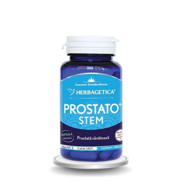 prospect prostato stem)