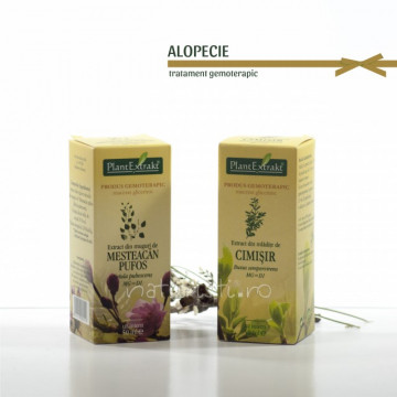 Tratament naturist - Alopecie (pachet)