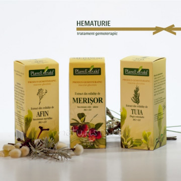 Tratament naturist - Hematurie (pachet)