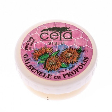 Unguent galbenele si propolis - 40 g