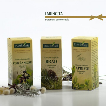 Tratament naturist - Laringita (pachet)