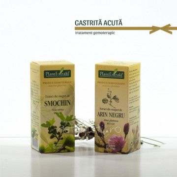 Tratament naturist - Gastrita acuta (pachet)